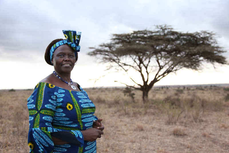 Peran wanita Wangari Maathai